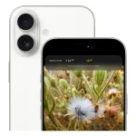 گوشی موبایل اپل مدل iPhone 17 CH دو سیم کارت ظرفیت 256 گیگابایت و رم 8 گیگابایت - نات اکتیو - Image 3